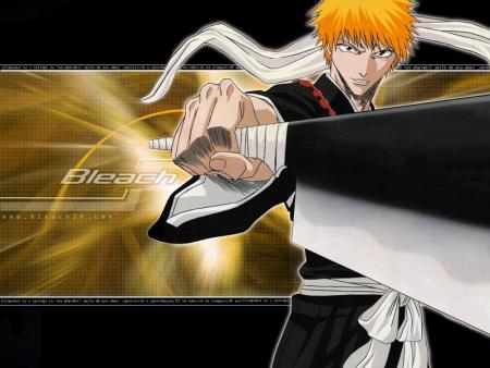kurosaki ichigo